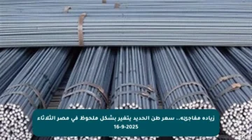 زيادة مفاجئة.. سعر طن الحديد يتغير بشكل ملحوظ في مصر الثلاثاء 16-9-2025
